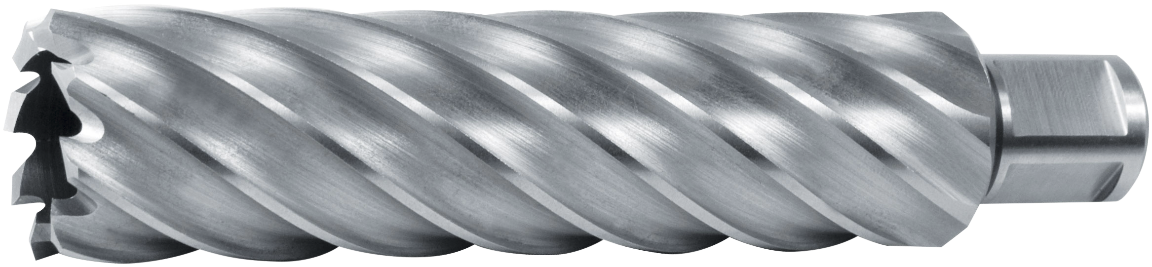 Kernebor Hss Weldon ø20ã 110 Mm