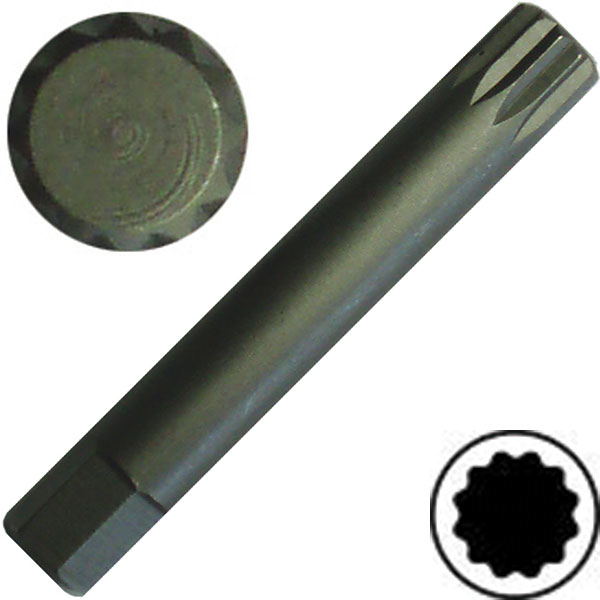 Bato Auto Bits Lang  Xzn M12