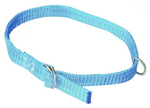 Fårehalsbånd 20mm 60cm Blå