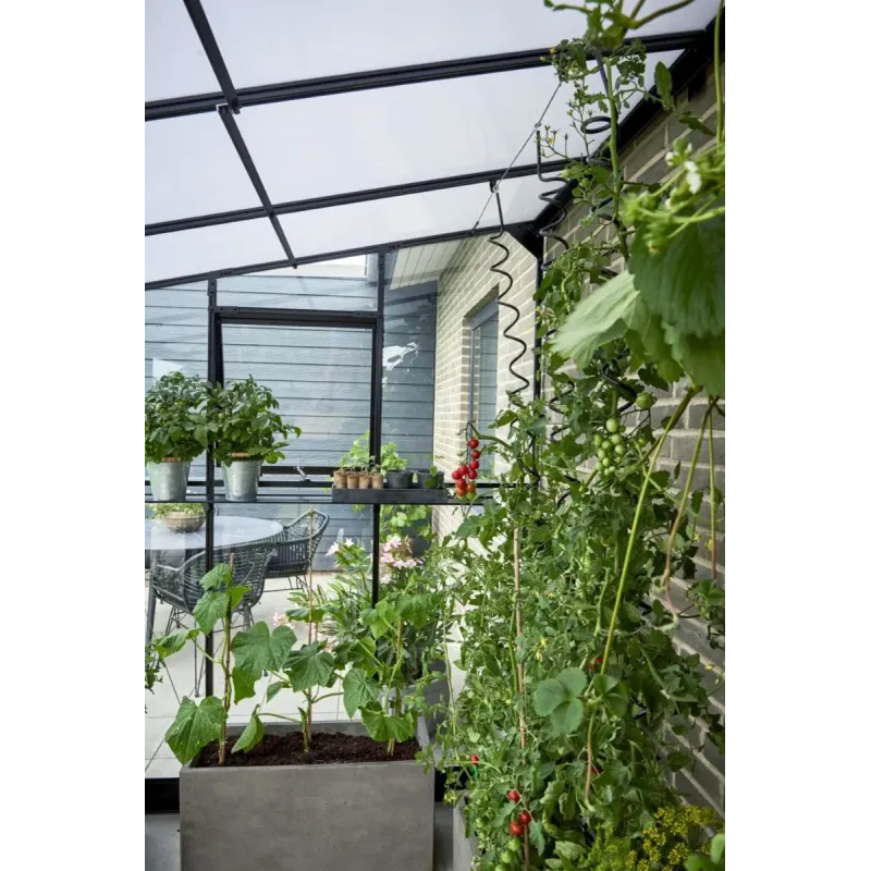 Halls Drivhus Qube Lean-to 612 Sort      Mm Hærdet Glas  F09937