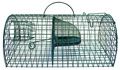 Rottefælde  Trådvæv Familie 40 Cm