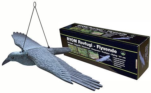Skræmmer Flyvende Rovfugl