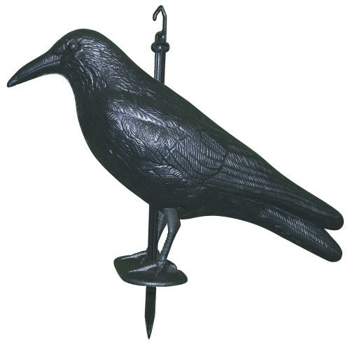 Skræmmer Ryom-krage