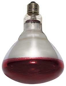 Varmepære Philips Rød 150