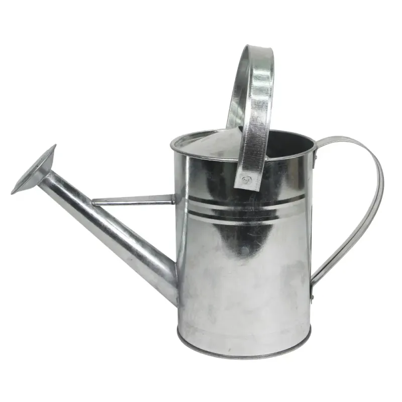 Home It Vandkande Med Spreder Liter Galvaniseret