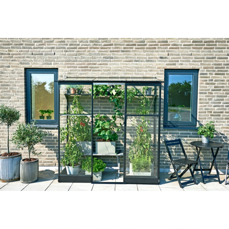 Halls Drivhus Qube Lean-to 26 Sort      Mm Hærdet Glas  F09935